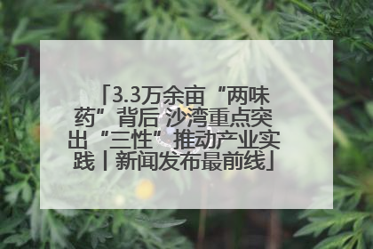 3.3万余亩“两味药”背后 沙湾重点突出“三性”推动产业实践丨新闻发布最前线