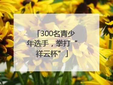 300名青少年选手，拳打“祥云杯”
