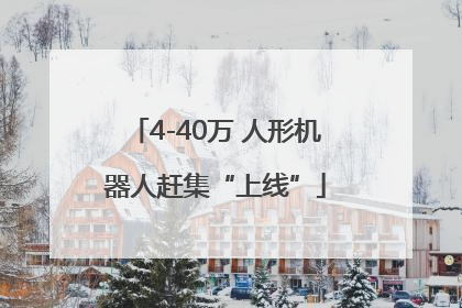 4-40万 人形机器人赶集“上线”