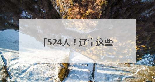 524人！辽宁这些事业单位公开招聘