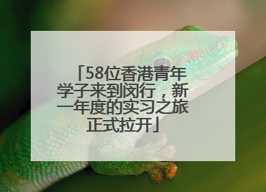 58位香港青年学子来到闵行，新一年度的实习之旅正式拉开