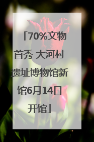 70%文物首秀 大河村遗址博物馆新馆6月14日开馆