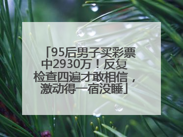 95后男子买彩票中2930万！反复检查四遍才敢相信，激动得一宿没睡