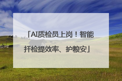 AI质检员上岗！智能扦检提效率、护粮安