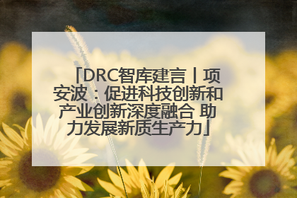 DRC智库建言丨项安波：促进科技创新和产业创新深度融合 助力发展新质生产力