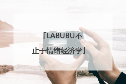 LABUBU不止于情绪经济学